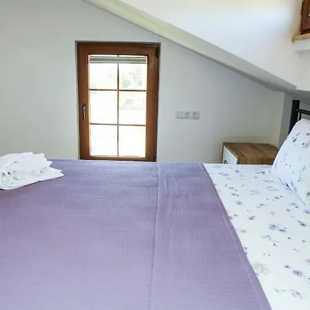 ヴィラ Steelpen *