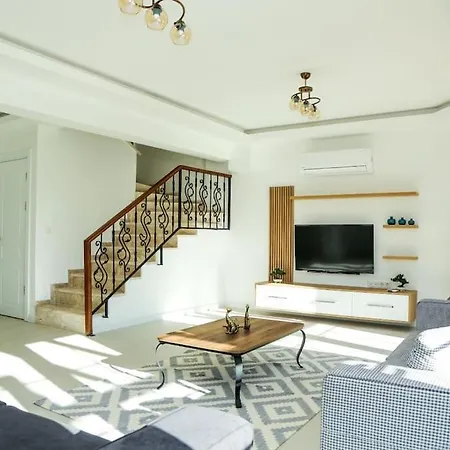 Steelpen * ダルヤン