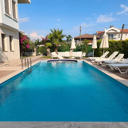 Steelpen Vila Dalyan